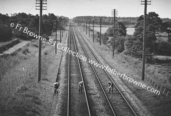 LINESMEN ON RAILWAY